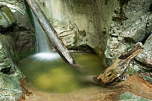 瀑布,石灰石,阿尔卑斯山,国家公园,上奥地利州,奥地利