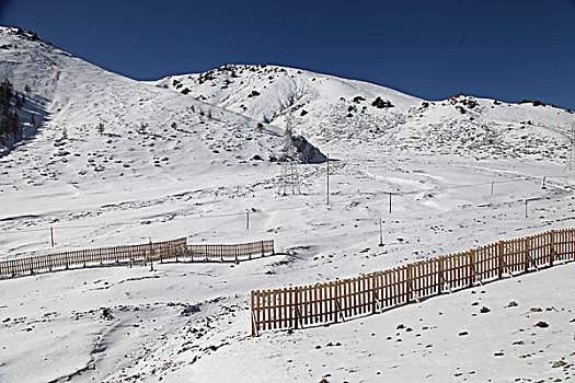 天山雪韵