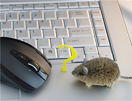 电脑键盘,两个,不同,鼠标