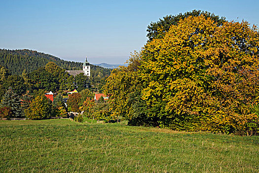秋天,草地,树,撒克逊瑞士,德国