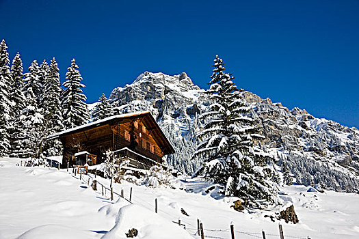 大雪,局部,世界遗产,瑞士