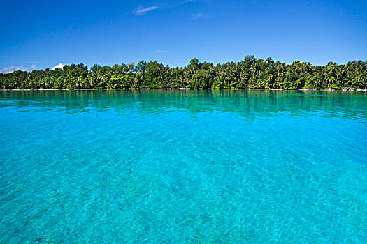 岛屿,帕劳,密克罗尼西亚,大洋洲