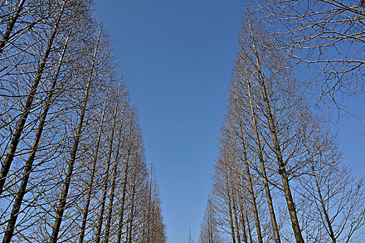 嘉善茆里田园风光