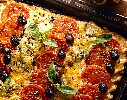 西红柿,奶酪,橄榄,罗勒,开胃菜,点心