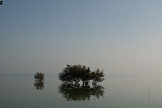 海景