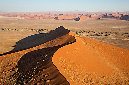 沙丘,纳米布沙漠,骆驼,刺,树,刺槐,干枯河床,河,晚上,航拍,纳米比诺克陆夫国家公园,纳米比亚,非洲