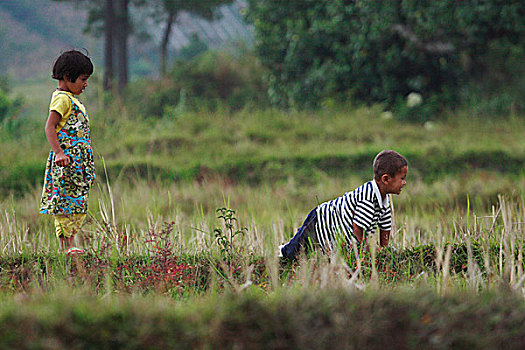 孩子,玩,农场,中心,印度尼西亚,八月,2007年