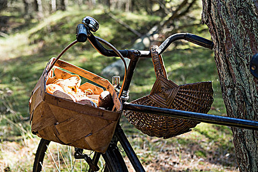 自行车,蘑菇,篮子,树林