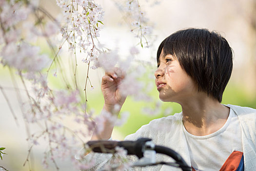 女孩,樱花