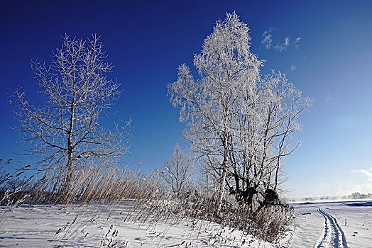 风景,冬天
