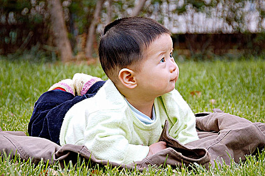 草地上的男婴