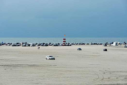 汽车,停放,宽,沙滩,北海,南方,丹麦,欧洲