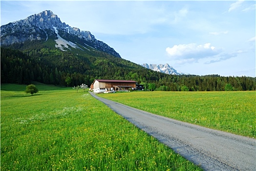 奥地利,阿尔卑斯山