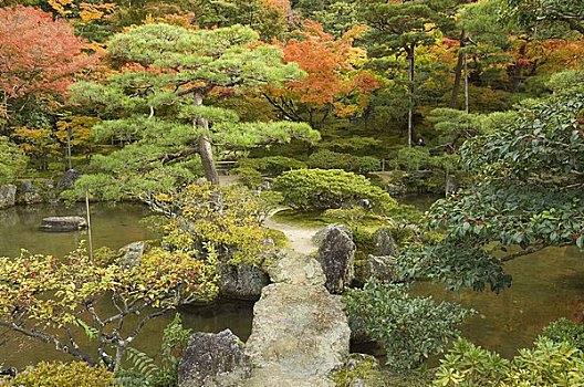 花园,庙宇,京都,关西,本州,日本