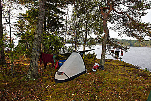 野外,露营,湖,瑞典
