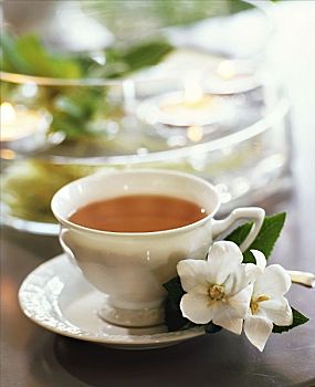 茶杯,风铃草,花