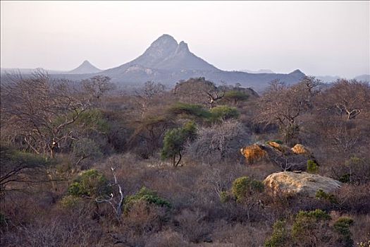 肯尼亚,查沃,东方,特色,风景,干燥,北方,局部,东察沃国家公园