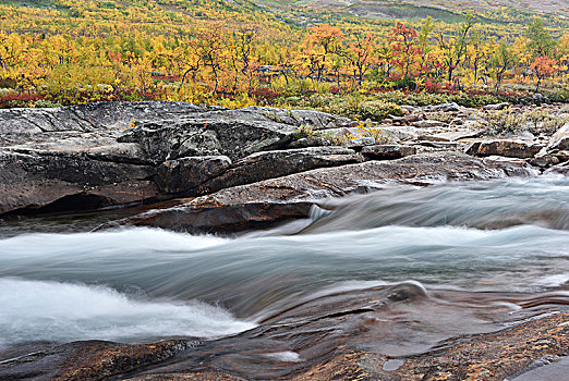 彩色,树,秋天,急流,河,挪威,欧洲