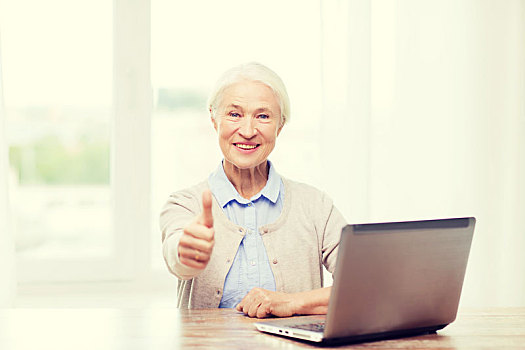 高兴,老年,女人,笔记本电脑,展示,竖大拇指