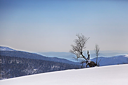 秃顶子山冬景