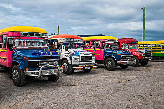 巴士,车队,等待,渡轮,萨摩亚群岛,南太平洋