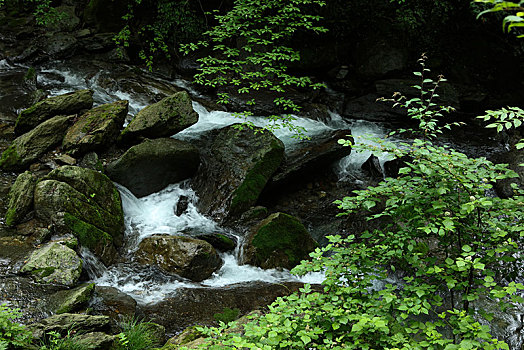 神农架,天生桥,风景,景点,旅游,高山,瀑布,河流,神秘,树木,植被,石头,鄂西,奇石,峡谷,壮观