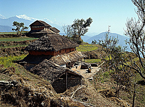 山村,波卡拉,尼泊尔