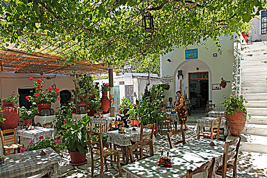餐馆,山,乡村,纳克索斯岛,基克拉迪群岛,爱琴海,希腊,欧洲