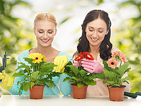 两个,主妇,花,容器,园艺