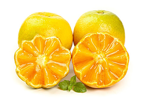 切开的夏橙放在白底上