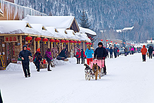 雪乡,双峰林场,村庄,风景,白天,黑龙江,牡丹江