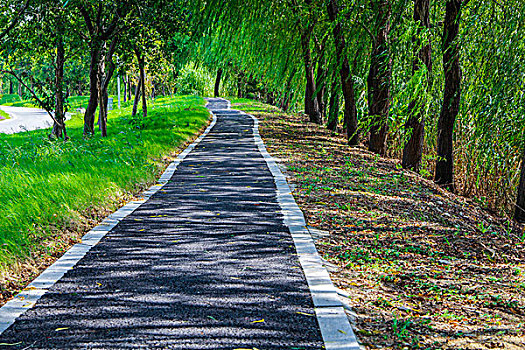 乡野道路