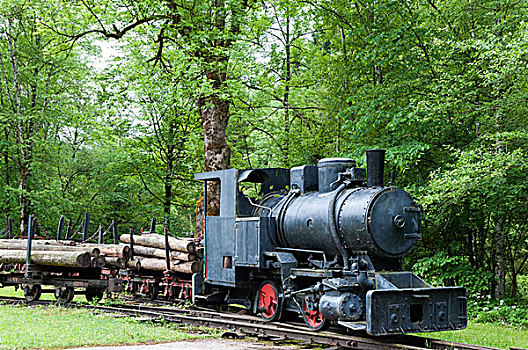 列车,树林,铁路,自行车道,国家公园,上奥地利州,奥地利