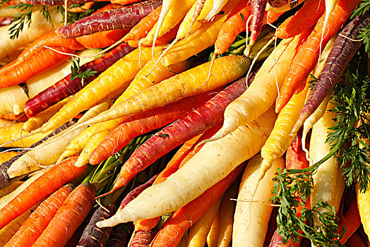 彩色,胡萝卜,不同,品种,市场货摊,不莱梅,德国,欧洲