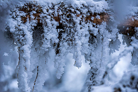 重庆金佛山雪白的童话世界