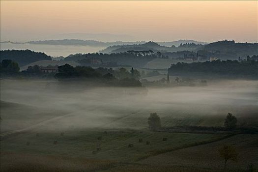 风景,雾,托斯卡纳,意大利,欧洲