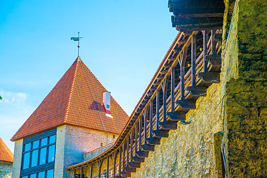 爱沙尼亚塔林城墙瞭望楼