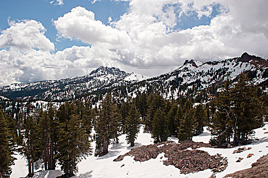 雪冠,山,常青树,拉森火山国家公园,加利福尼亚,美国