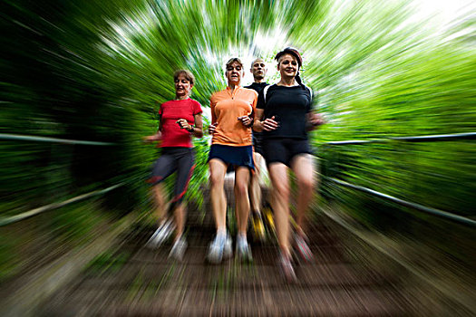 男人,三个女人,慢跑,树林