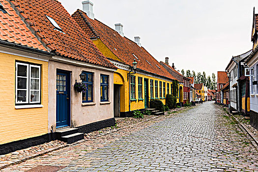彩色,房子,鹅卵石,小路,岛屿,日德兰半岛,半岛,区域,丹麦
