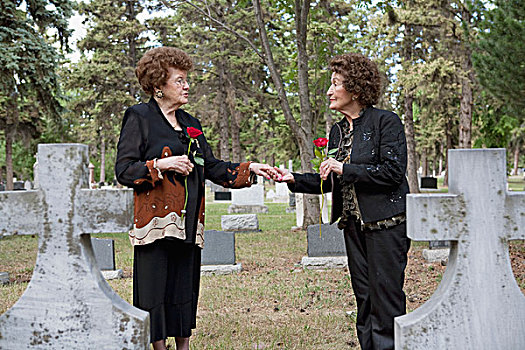 两个女人,拿着,一个,红玫瑰,墓地,埃德蒙顿,艾伯塔省,加拿大