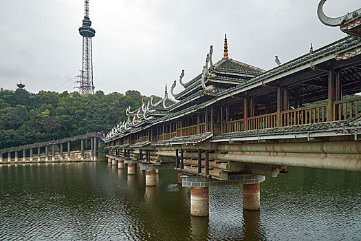 长沙烈士公园夏季雨后风景