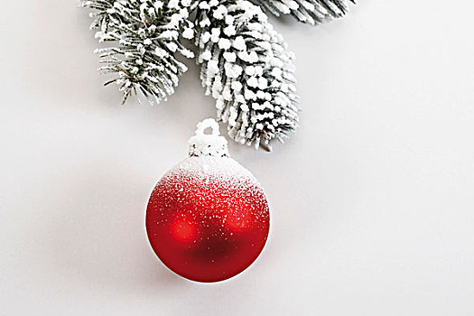 红色,圣诞节,彩球,杉枝,雪