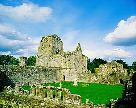 小修道院,蒂帕雷里,爱尔兰,大炮