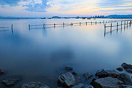 湿地,线条,水面,霞光,倒影