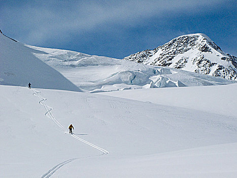 滑雪,旅游,阿尔卑斯山,提洛尔,奥地利