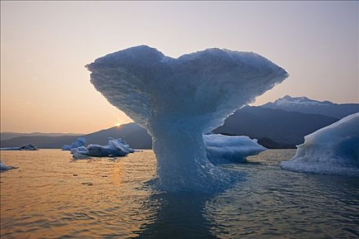 太阳,冰雕,鲸,尾部,自然,气势,腐蚀,湖,靠近,阿拉斯加