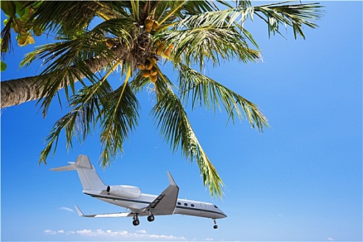 私人飞机,降落,热带,胜地