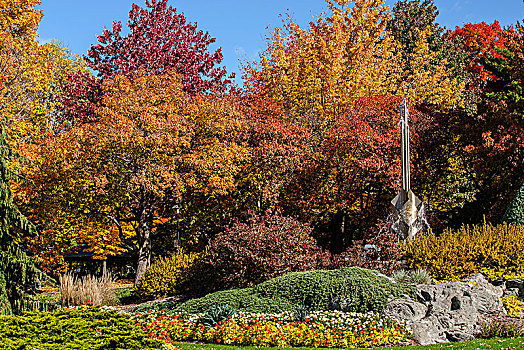 喷泉,秋天,维多利亚,公园,东方镇,魁北克,加拿大,北美