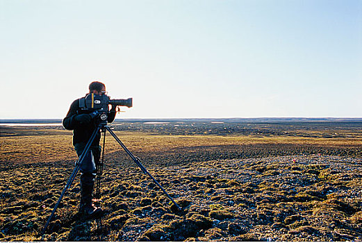 男人,摄影机,岛屿,加拿大西北地区,加拿大